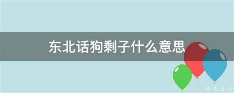 东北母狗|东北母狗网站列表